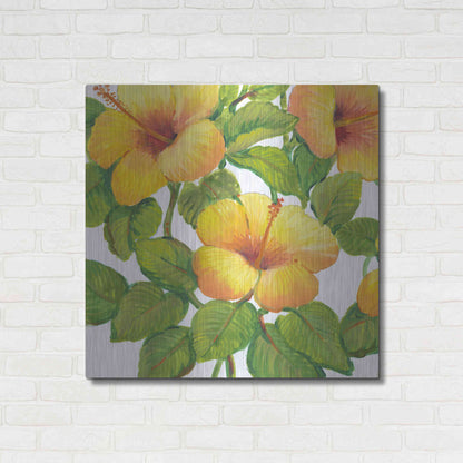 Luxe Metal Art 'Watercolor Hibiscus III' by Tim O'Toole, Metal Wall Art,36x36