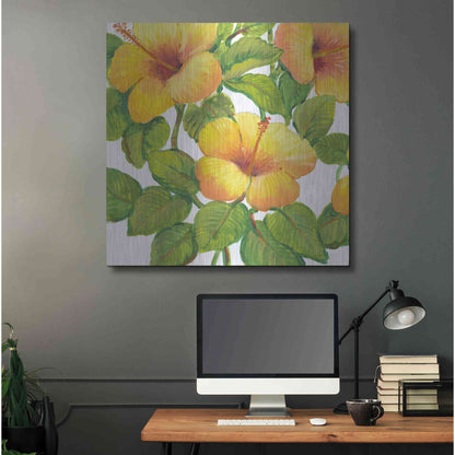 Luxe Metal Art 'Watercolor Hibiscus III' by Tim O'Toole, Metal Wall Art,36x36
