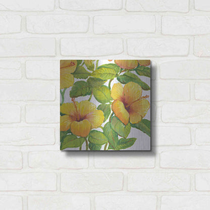 Luxe Metal Art 'Watercolor Hibiscus IV' by Tim O'Toole, Metal Wall Art,12x12