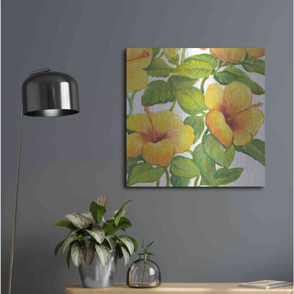 Luxe Metal Art 'Watercolor Hibiscus IV' by Tim O'Toole, Metal Wall Art,24x24