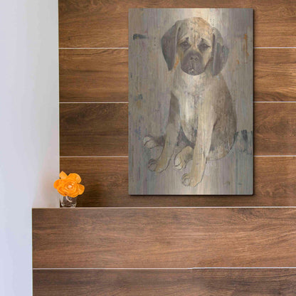 Luxe Metal Art 'Paco v2' by Albena Hristova, Metal Wall Art,12x16