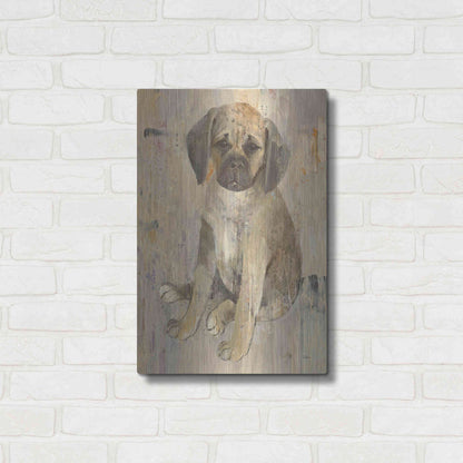 Luxe Metal Art 'Paco v2' by Albena Hristova, Metal Wall Art,16x24