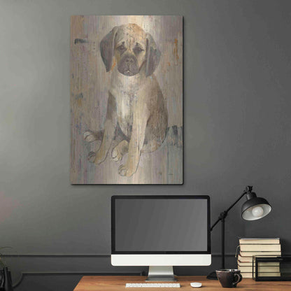 Luxe Metal Art 'Paco v2' by Albena Hristova, Metal Wall Art,24x36