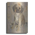 Luxe Metal Art 'Paco v2' by Albena Hristova, Metal Wall Art