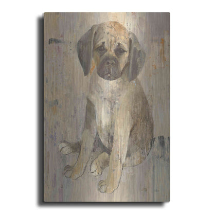 Luxe Metal Art 'Paco v2' by Albena Hristova, Metal Wall Art