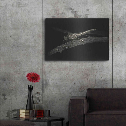 Luxe Metal Art 'Dragonfly' by Avery Multer, Metal Wall Art,36x24