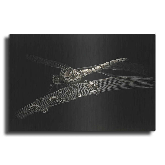 Luxe Metal Art 'Dragonfly' by Avery Multer, Metal Wall Art