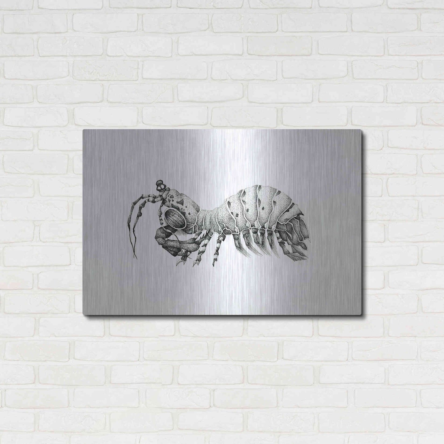 Luxe Metal Art 'Peacock Mantis Shrimp' by Avery Multer, Metal Wall Art,36x24