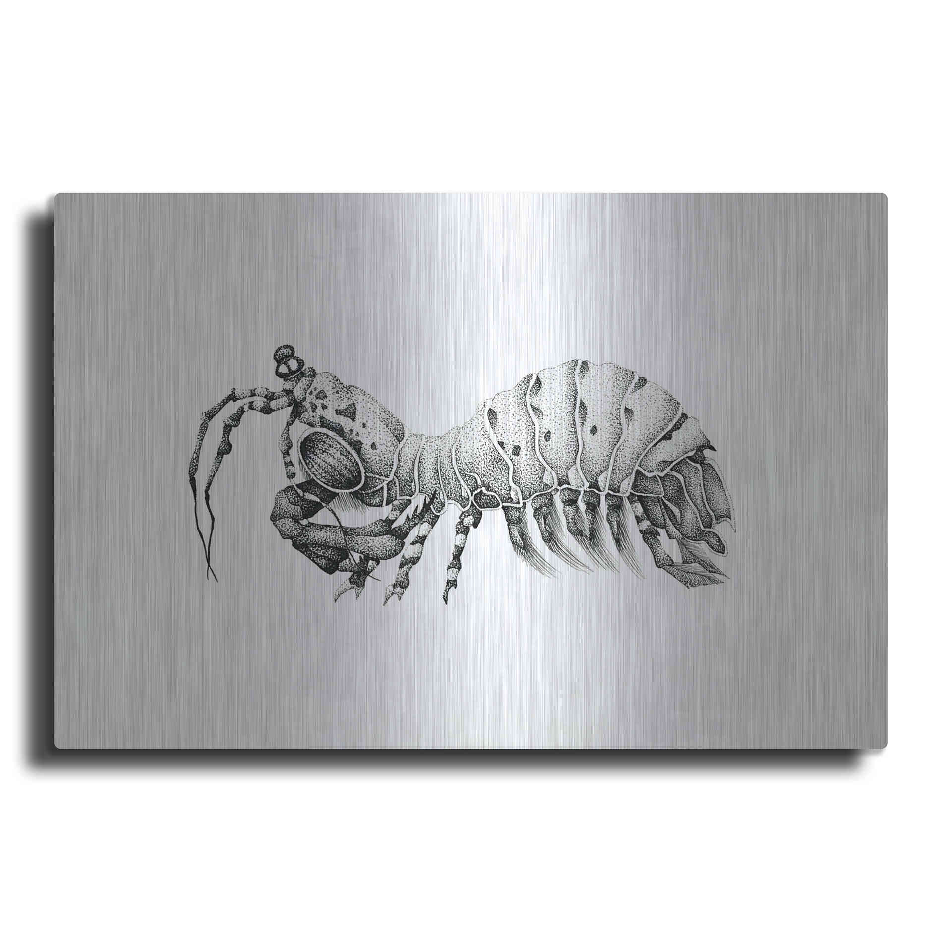 Luxe Metal Art 'Peacock Mantis Shrimp' by Avery Multer, Metal Wall Art