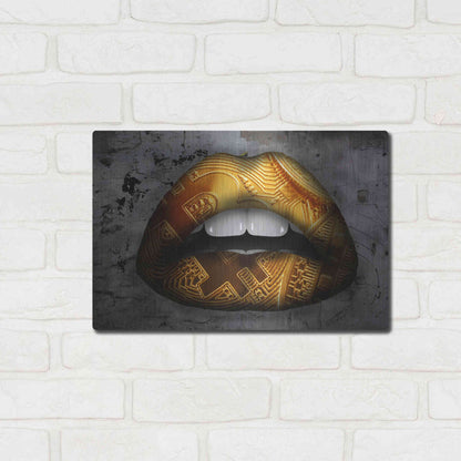 Luxe Metal Art 'Bitcoin Lipstick' by Metal Wall Art,16x12