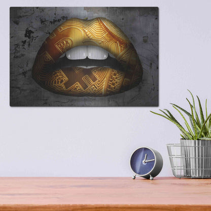 Luxe Metal Art 'Bitcoin Lipstick' by Metal Wall Art,16x12