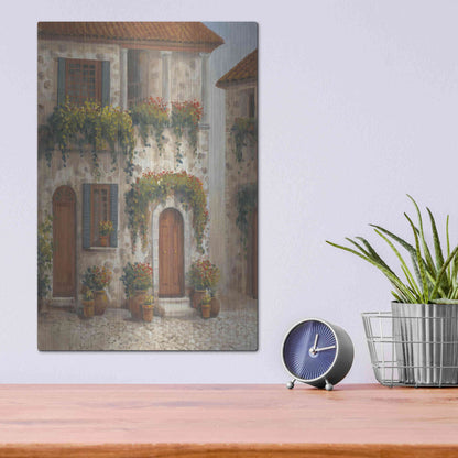 Luxe Metal Art 'Afternoon Sun I' by Tim O'Toole, Metal Wall Art,12x16