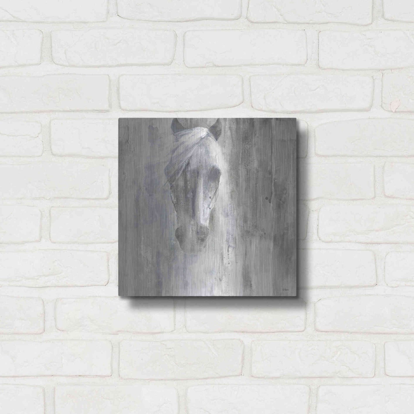 Luxe Metal Art 'Shadow Gray' by Albena Hristova, Metal Wall Art,12x12