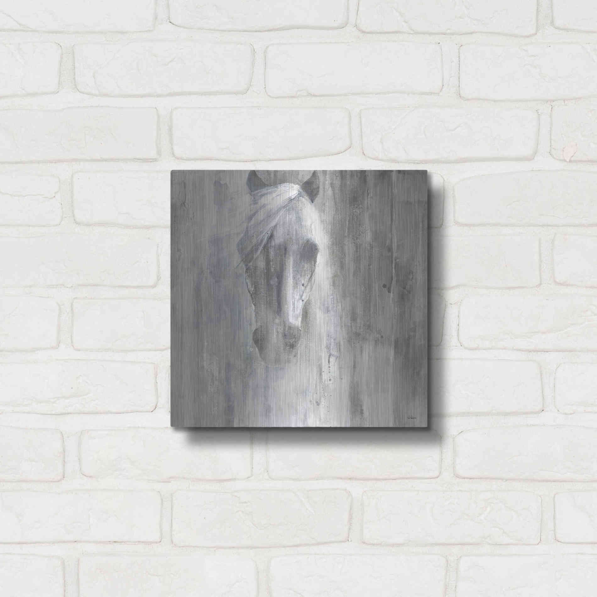 Luxe Metal Art 'Shadow Gray' by Albena Hristova, Metal Wall Art,12x12