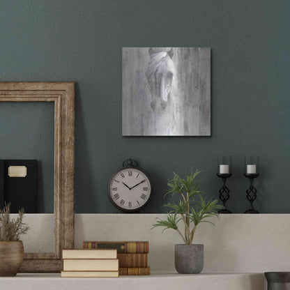 Luxe Metal Art 'Shadow Gray' by Albena Hristova, Metal Wall Art,12x12