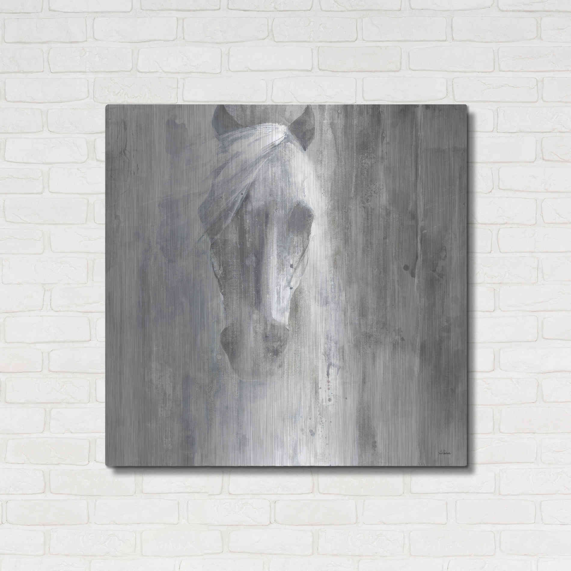 Luxe Metal Art 'Shadow Gray' by Albena Hristova, Metal Wall Art,36x36