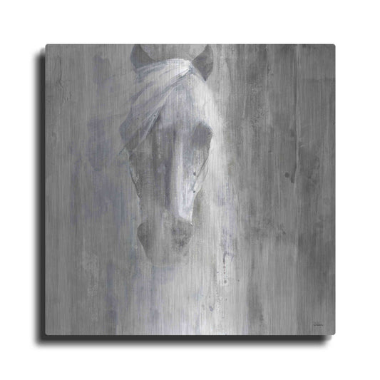 Luxe Metal Art 'Shadow Gray' by Albena Hristova, Metal Wall Art