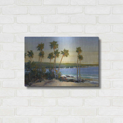 Luxe Metal Art 'Distant Shore II' by Tim O'Toole, Metal Wall Art,24x16