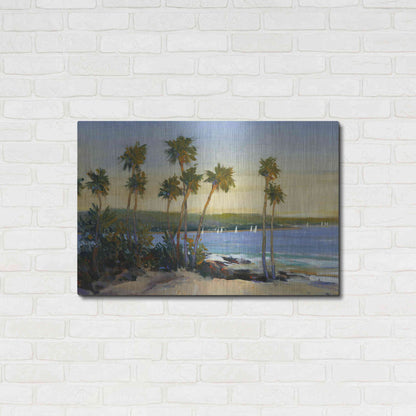 Luxe Metal Art 'Distant Shore II' by Tim O'Toole, Metal Wall Art,36x24