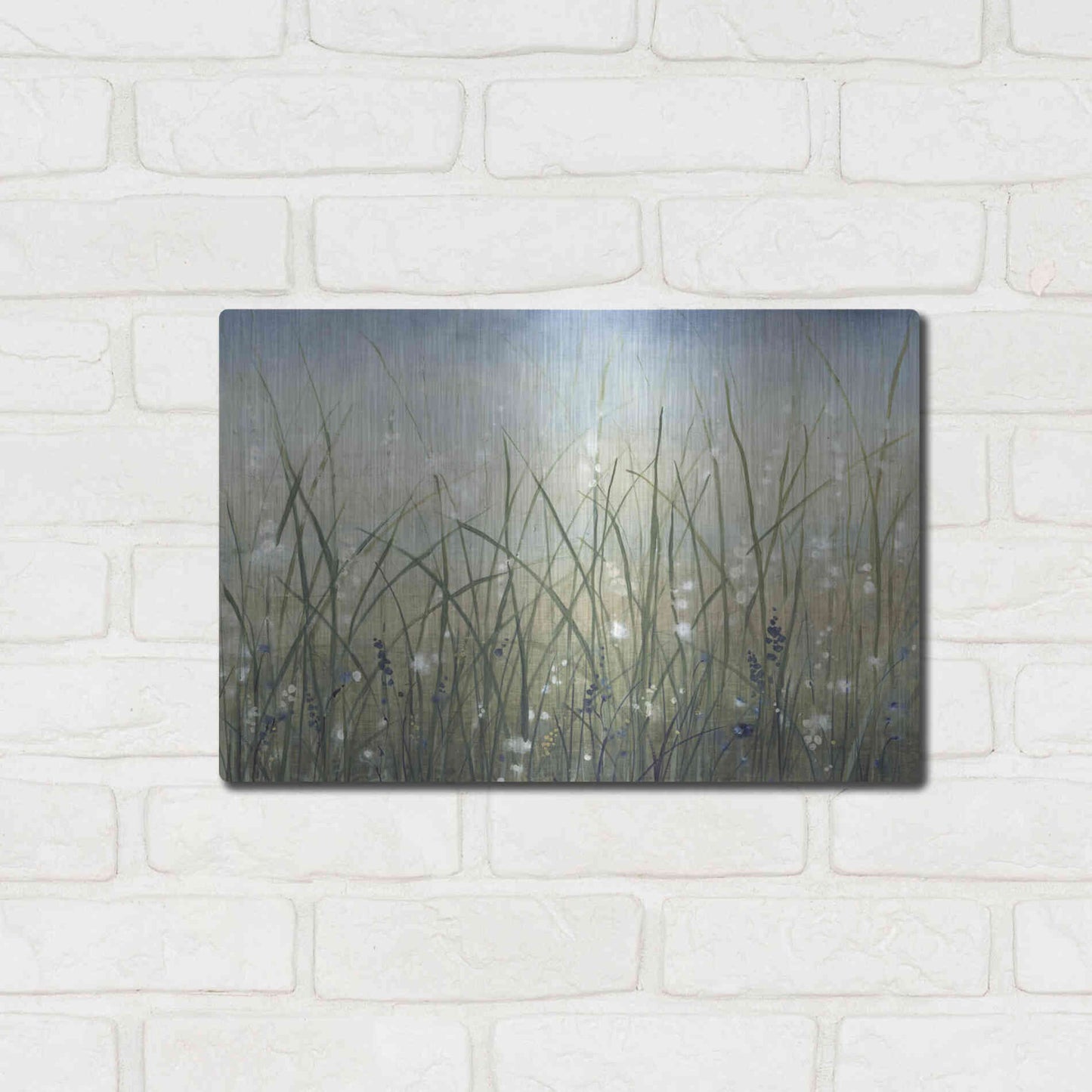 Luxe Metal Art 'Bliss II' by Tim O'Toole, Metal Wall Art,16x12