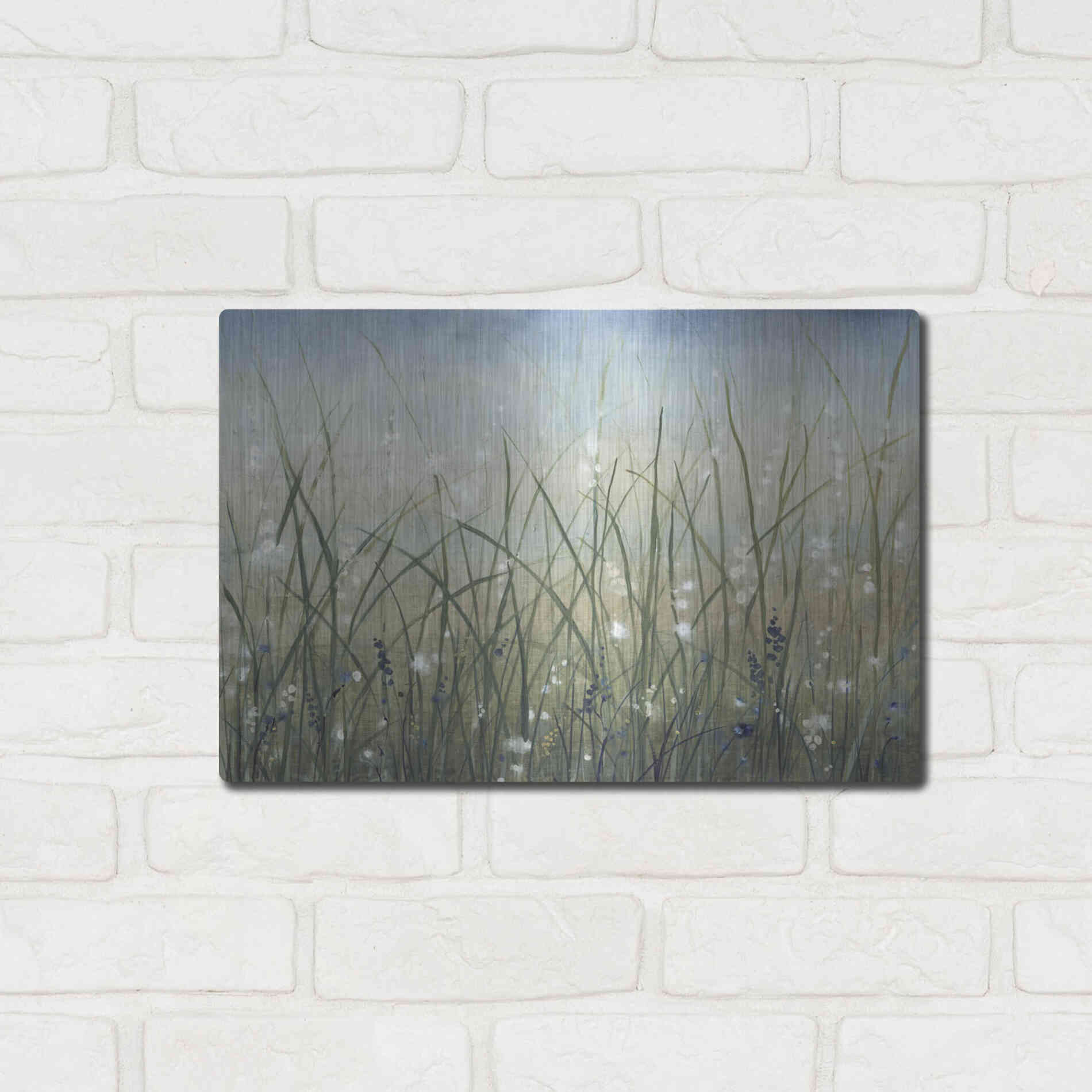 Luxe Metal Art 'Bliss II' by Tim O'Toole, Metal Wall Art,16x12