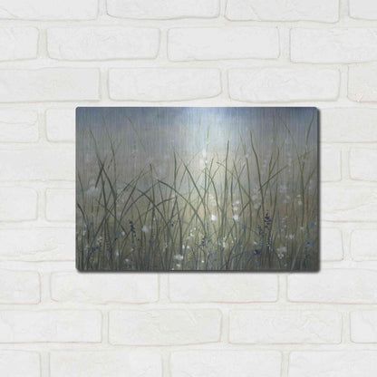 Luxe Metal Art 'Bliss II' by Tim O'Toole, Metal Wall Art,16x12