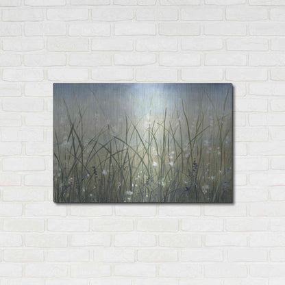 Luxe Metal Art 'Bliss II' by Tim O'Toole, Metal Wall Art,36x24