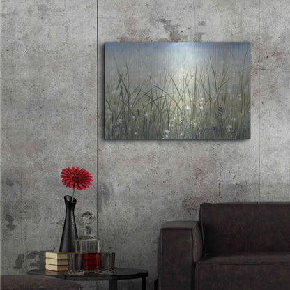 Luxe Metal Art 'Bliss II' by Tim O'Toole, Metal Wall Art,36x24