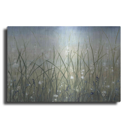 Luxe Metal Art 'Bliss II' by Tim O'Toole, Metal Wall Art