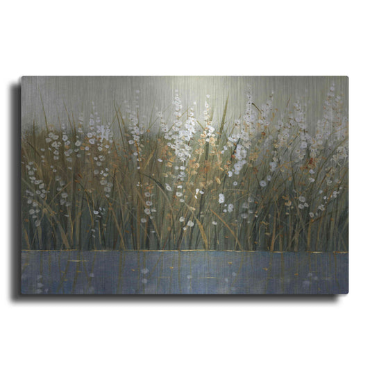 Luxe Metal Art 'By the Tall Grass II' by Tim O'Toole, Metal Wall Art