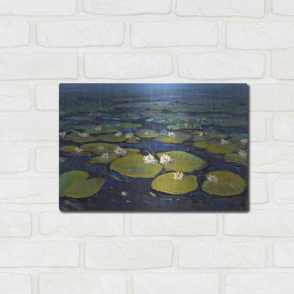 Luxe Metal Art 'Lily Pads II' by Tim O'Toole, Metal Wall Art,16x12