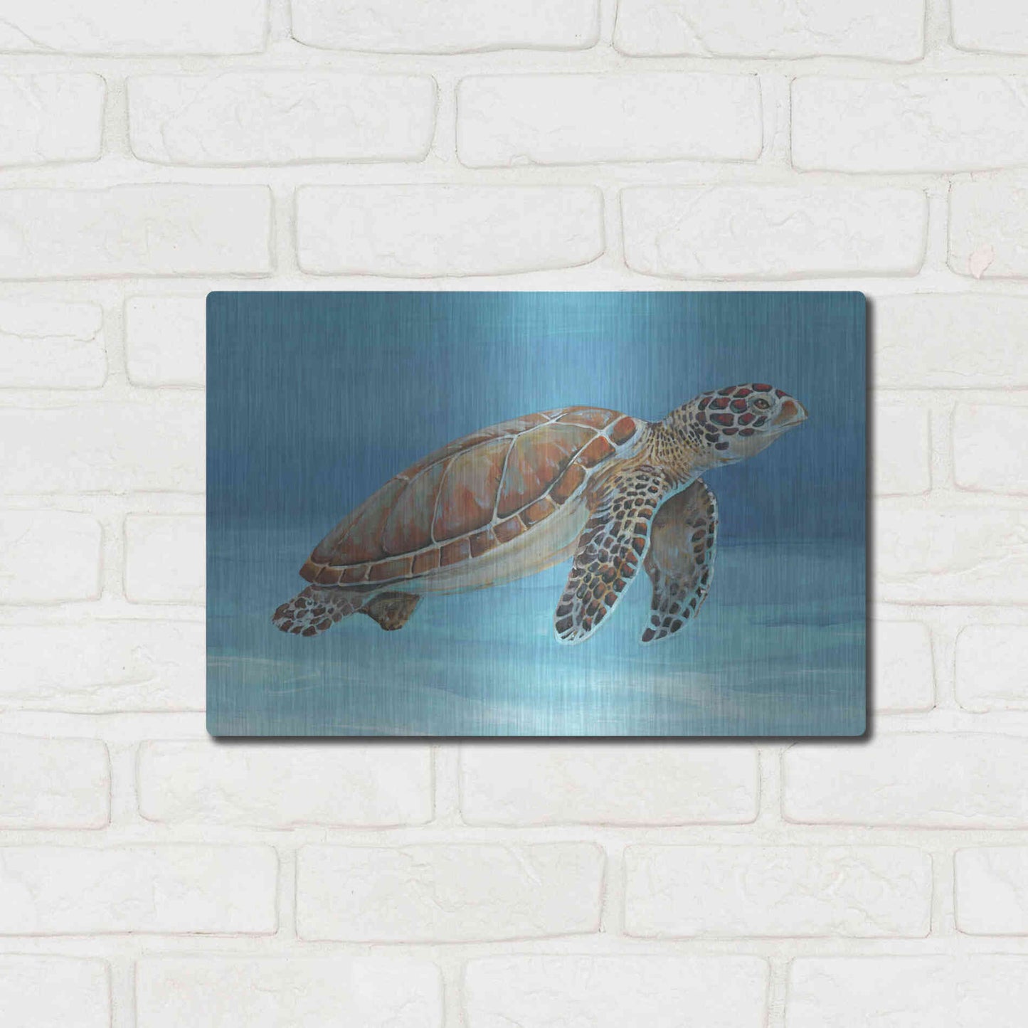 Luxe Metal Art 'Ocean Sea Turtle I' by Tim O'Toole, Metal Wall Art,16x12