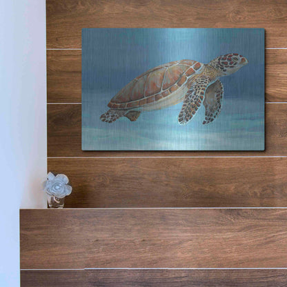 Luxe Metal Art 'Ocean Sea Turtle I' by Tim O'Toole, Metal Wall Art,16x12
