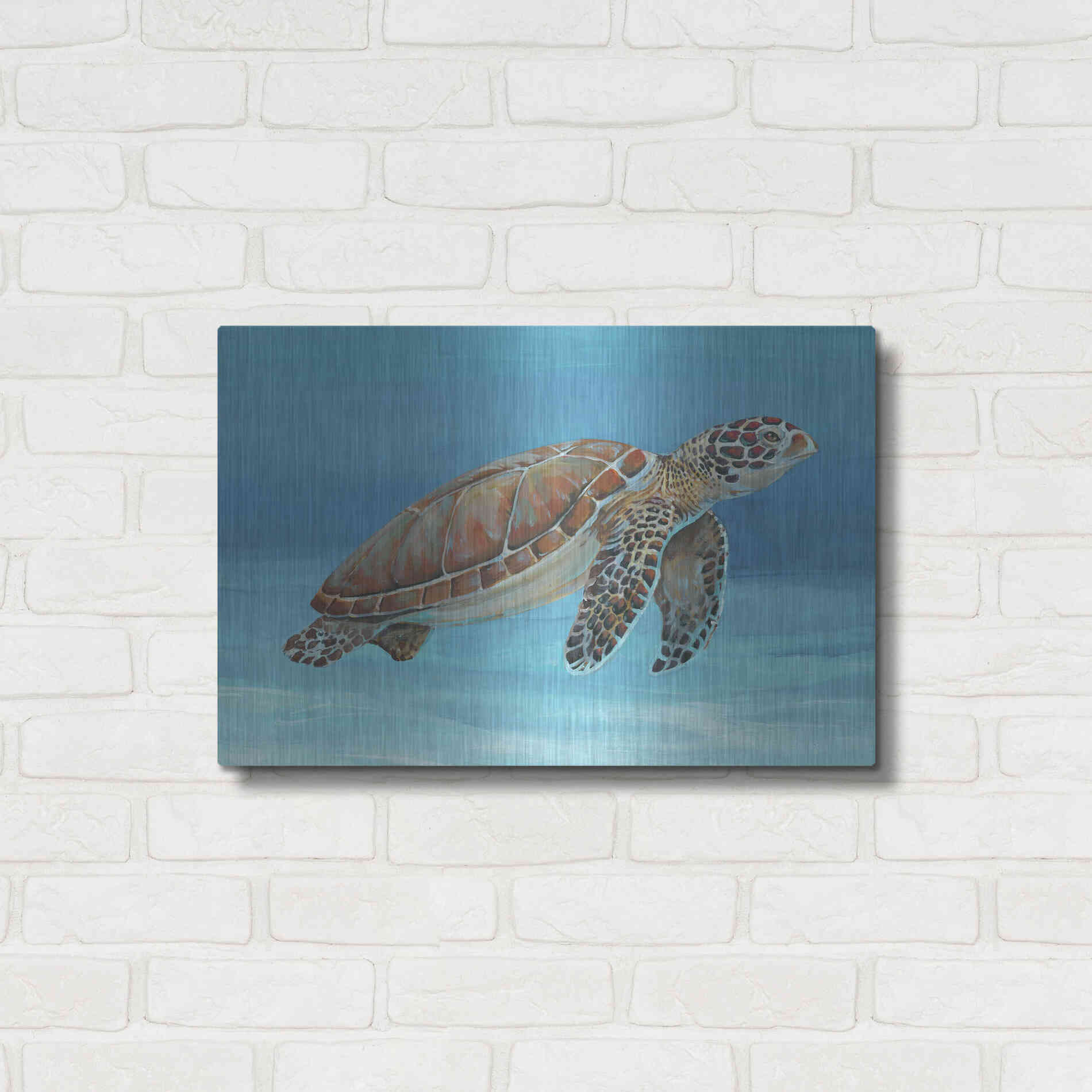 Luxe Metal Art 'Ocean Sea Turtle I' by Tim O'Toole, Metal Wall Art,24x16