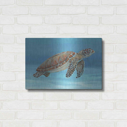 Luxe Metal Art 'Ocean Sea Turtle I' by Tim O'Toole, Metal Wall Art,24x16