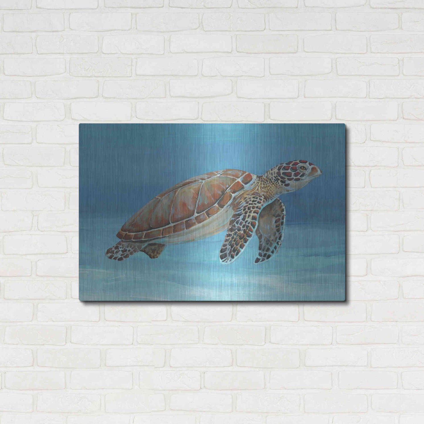 Luxe Metal Art 'Ocean Sea Turtle I' by Tim O'Toole, Metal Wall Art,36x24