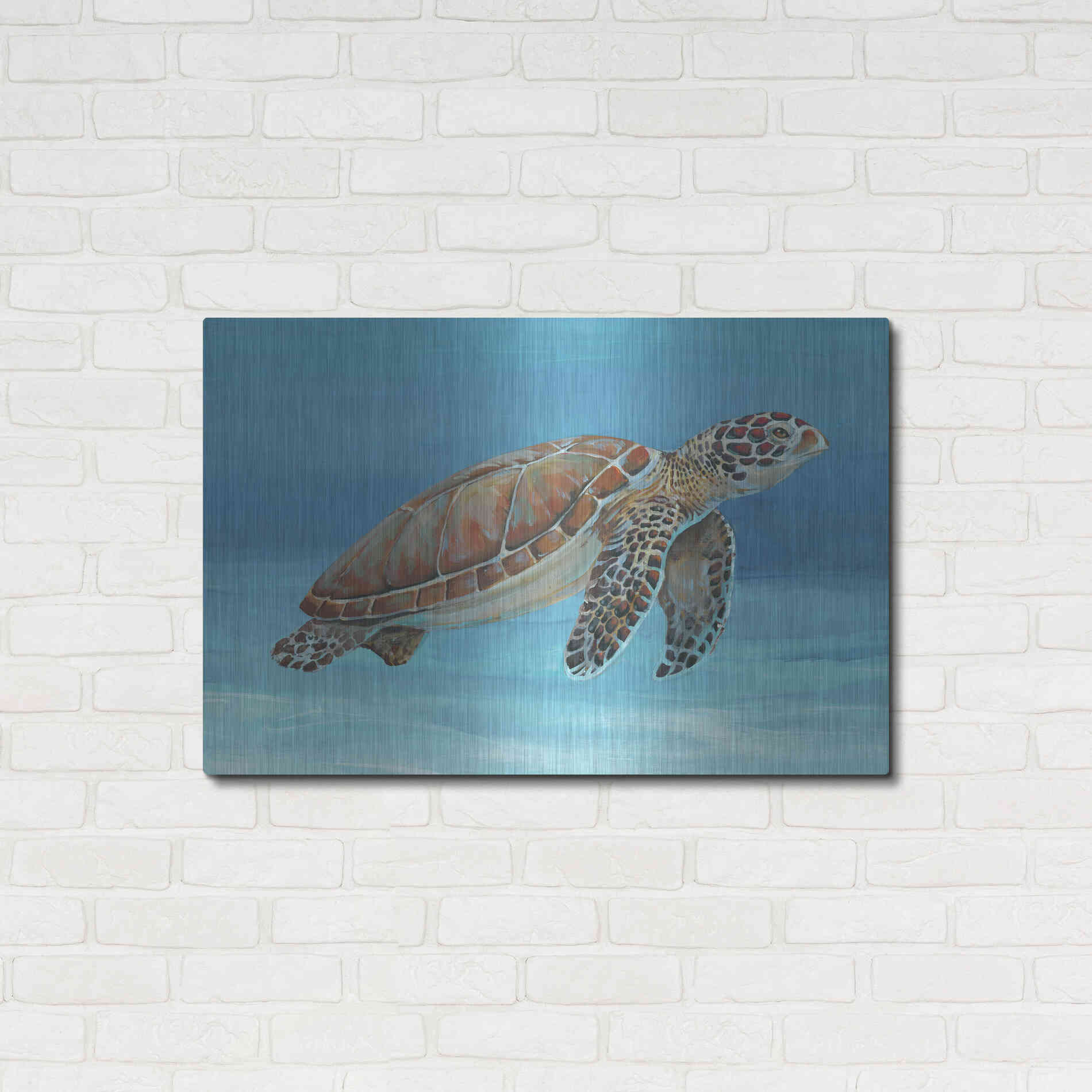 Luxe Metal Art 'Ocean Sea Turtle I' by Tim O'Toole, Metal Wall Art,36x24