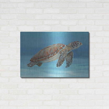 Luxe Metal Art 'Ocean Sea Turtle I' by Tim O'Toole, Metal Wall Art,36x24
