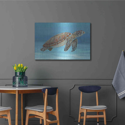 Luxe Metal Art 'Ocean Sea Turtle I' by Tim O'Toole, Metal Wall Art,36x24