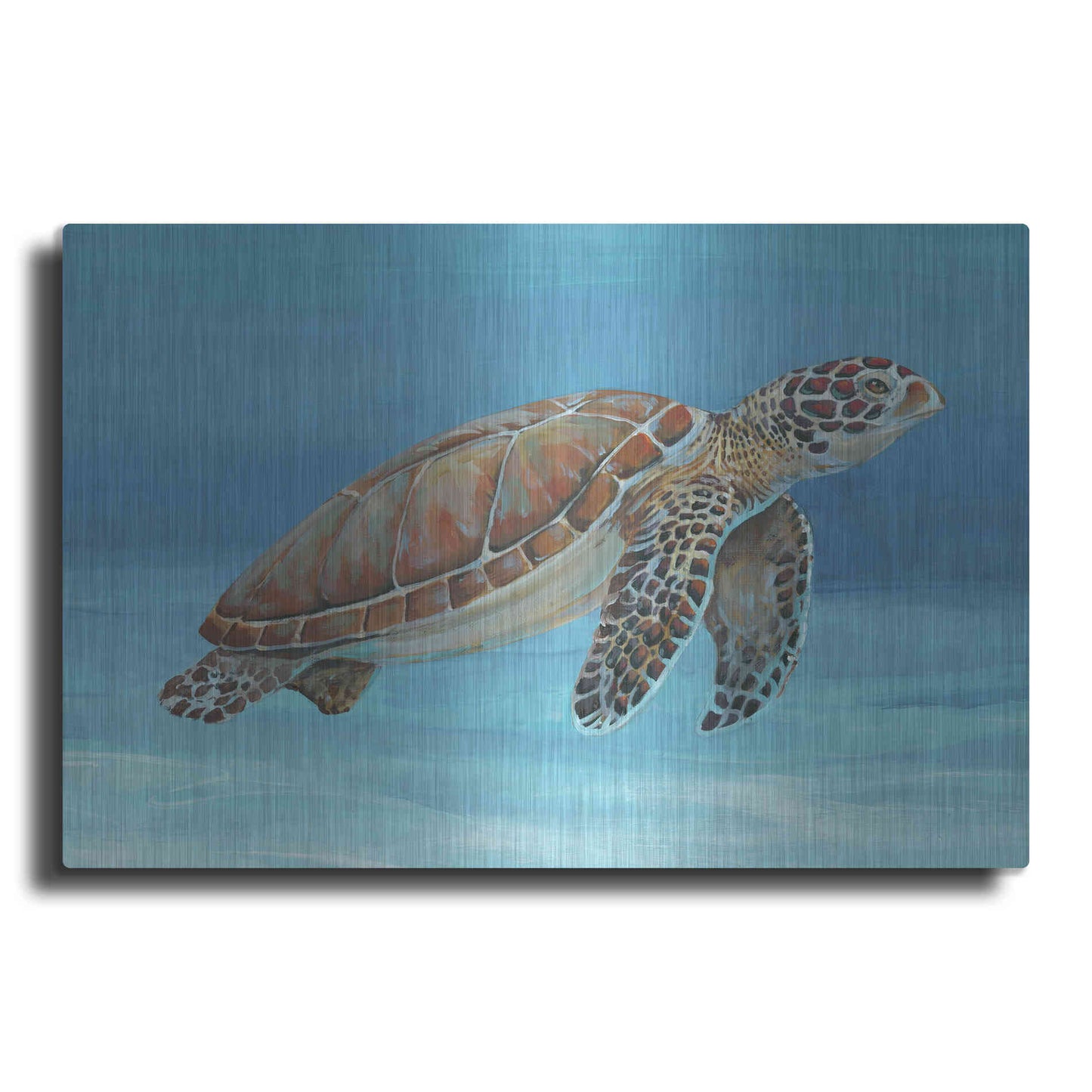 Luxe Metal Art 'Ocean Sea Turtle I' by Tim O'Toole, Metal Wall Art