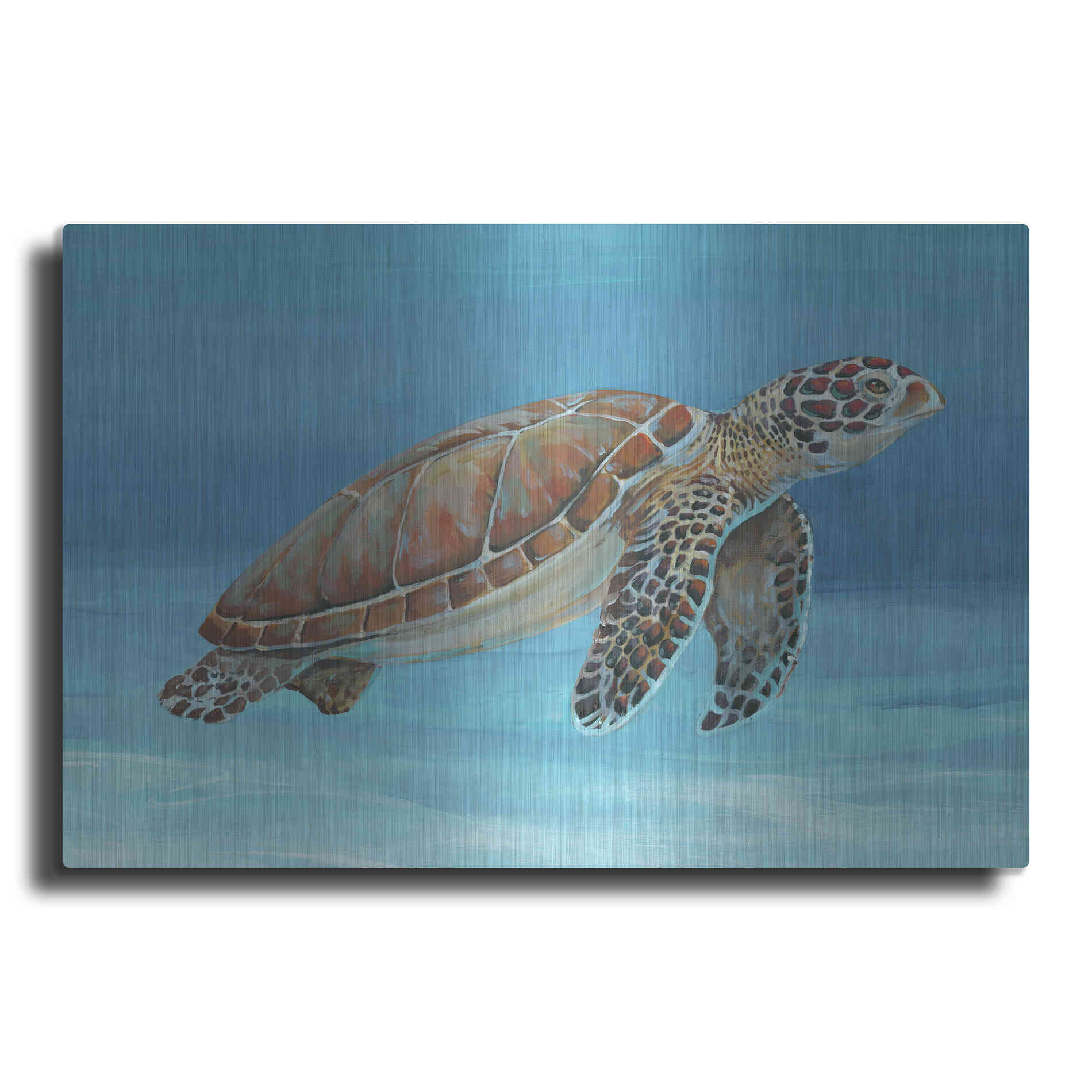 Luxe Metal Art 'Ocean Sea Turtle I' by Tim O'Toole, Metal Wall Art