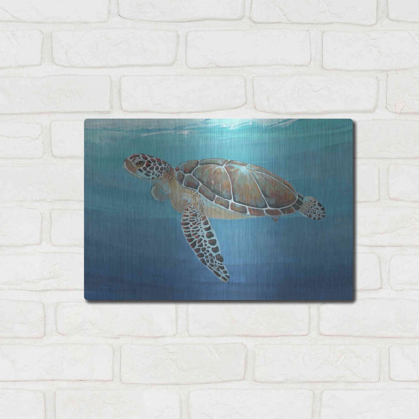 Luxe Metal Art 'Ocean Sea Turtle II' by Tim O'Toole, Metal Wall Art,16x12