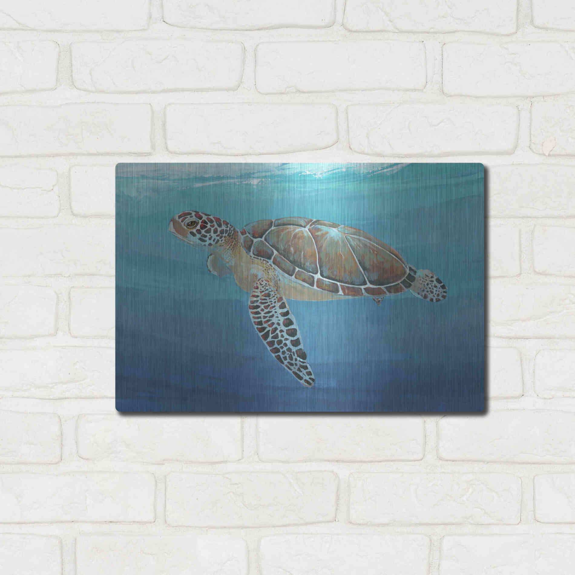Luxe Metal Art 'Ocean Sea Turtle II' by Tim O'Toole, Metal Wall Art,16x12