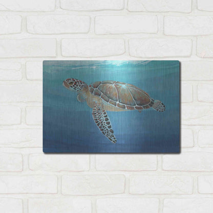 Luxe Metal Art 'Ocean Sea Turtle II' by Tim O'Toole, Metal Wall Art,16x12