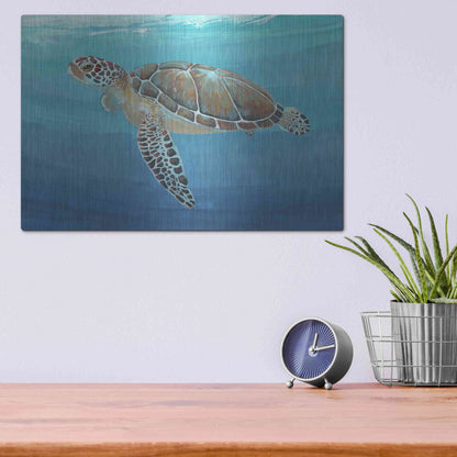 Luxe Metal Art 'Ocean Sea Turtle II' by Tim O'Toole, Metal Wall Art,16x12