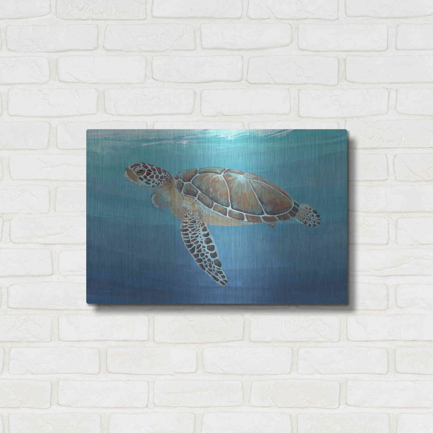Luxe Metal Art 'Ocean Sea Turtle II' by Tim O'Toole, Metal Wall Art,24x16