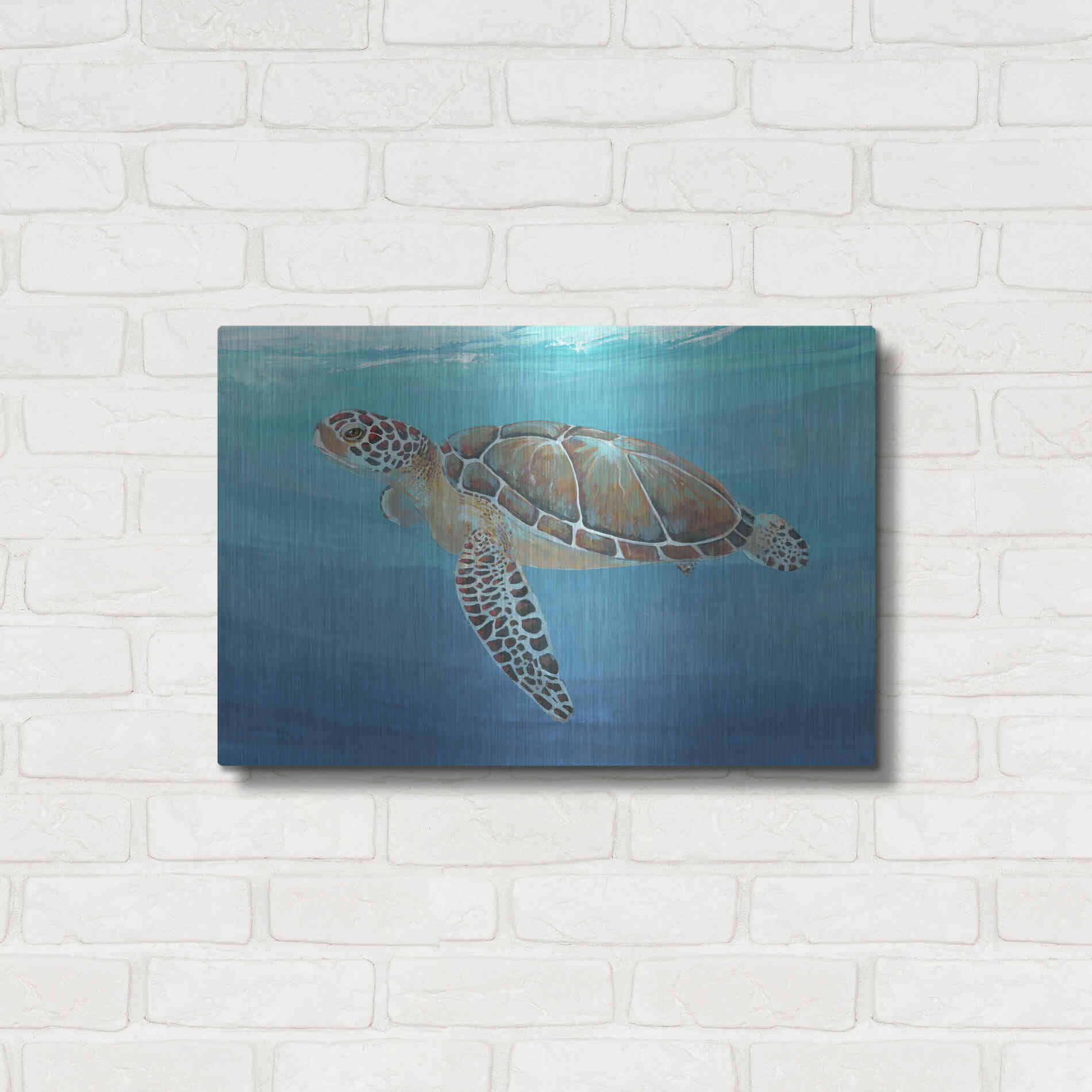 Luxe Metal Art 'Ocean Sea Turtle II' by Tim O'Toole, Metal Wall Art,24x16