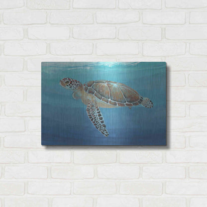 Luxe Metal Art 'Ocean Sea Turtle II' by Tim O'Toole, Metal Wall Art,24x16