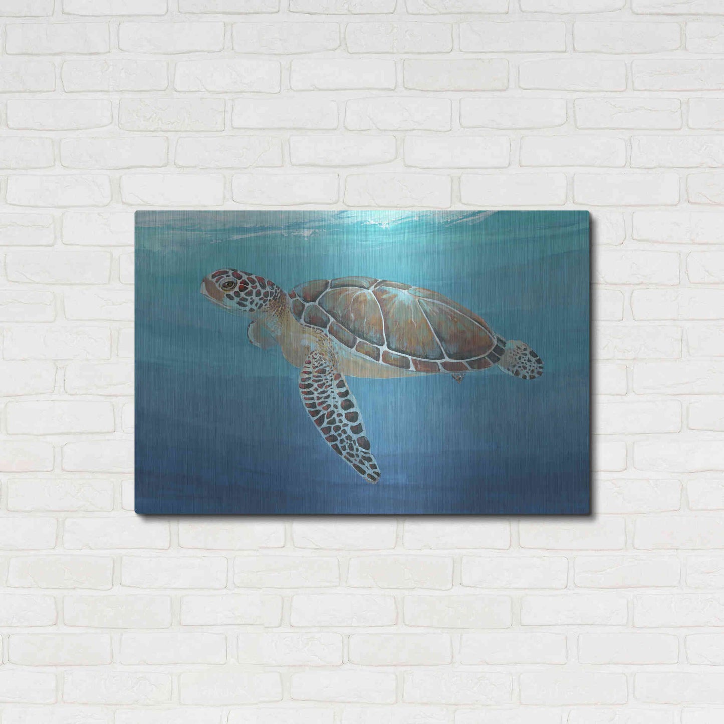 Luxe Metal Art 'Ocean Sea Turtle II' by Tim O'Toole, Metal Wall Art,36x24