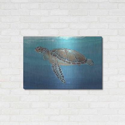 Luxe Metal Art 'Ocean Sea Turtle II' by Tim O'Toole, Metal Wall Art,36x24